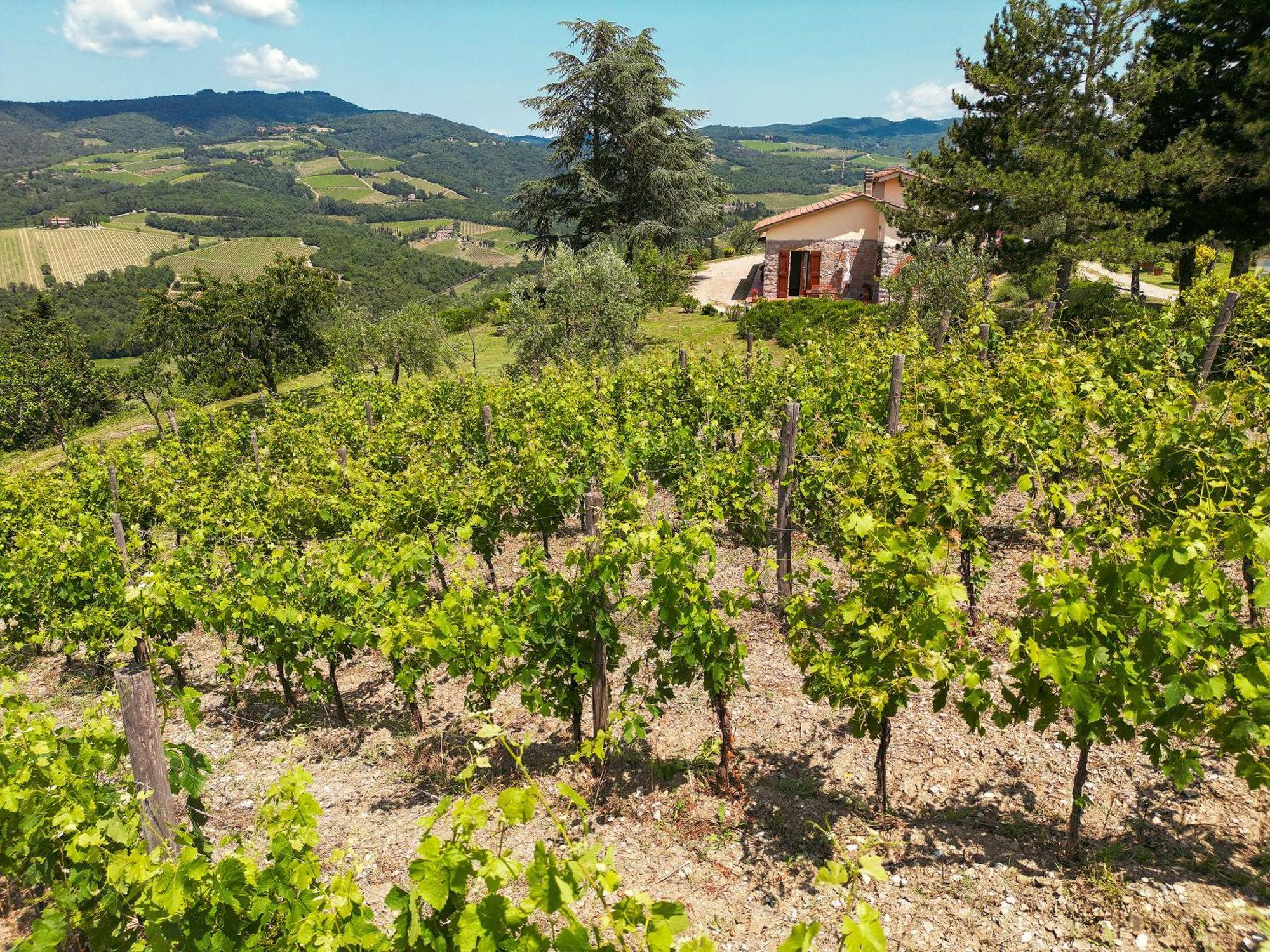 Tenuta Il Poggetto Radda in Chianti Exterior photo